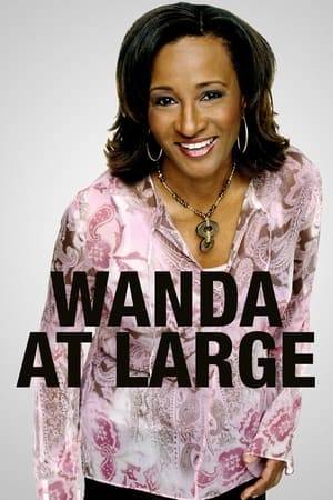 Wanda at Large is an American sitcom that ran for two seasons on the Fox network in 2003. The series was created by and stars comedian Wanda Sykes.