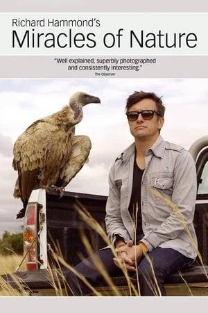 Richard Hammond reveals secret animal abilities from the natural world, and discovers how those same animals have inspired a series of unlikely human inventions at the very frontiers of science.