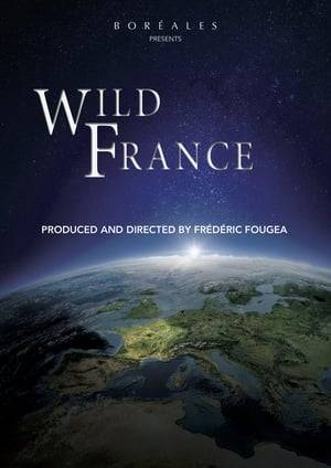 A documentary that shows the different fauna that populates natural habitats of France, and the people that aims to protect and preserve them.