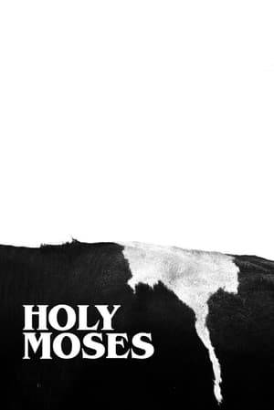 In 1963 a cow goes missing from an Irish Magdalene Asylum only to reappear 25 years later at a gas station in Texas. The attendant calls the sheriff, the sheriff calls the doctor, and together the three discover a strange mystery in the middle of an American nowhere.