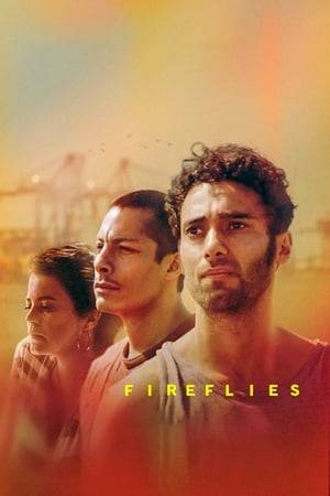 Ramin flees from persecution in Iran and ends up living in the limbo of exile, far from everything he knows, in the tropical port town of Veracruz, Mexico. There his nostalgia and melancholy are confronted with new friendships, while he starts to rediscover his own desires.