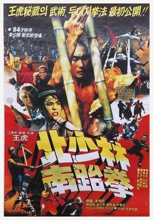 Superstar Casanova Wong stars as a young fighter who after becoming a master at North Shaolin travels to South Shaolin to learn more of the deadly Shaolin martial arts to prepare him for the might of the Northern Mantis Master--Han Ying--who is planning to destroy Shaolin.