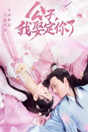 A woman who hates marriages after being repeatedly rejected meets an official who is cold on the outside but deeply affectionate on the inside. Furthermore, a devoted prince continues to stay by her side. As their story unfolds, so does a mysterious case.

Due to certain circumstances, Ye Xiaotang who is the daughter of a wealthy family has no choice but to find a husband before she turns 20. Determined to have scholar Mu Jinyan as her husband, she does not even cast a glance at prince Ling Ziran (Bo Junchen) who is actively pursuing her. A suspenseful case ties their fates together.