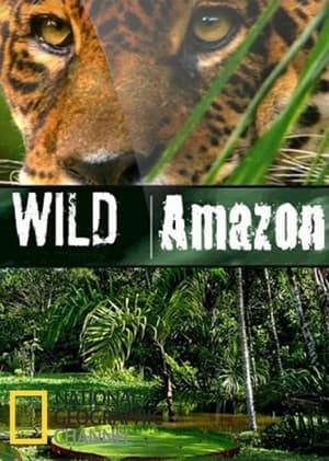 Wild Amazon takes you deep into the heart of the Amazon on a journey you will never forget! Home to the largest rainforest and mightiest river on earth, the Amazon is home to a huge variety of creatures greater than anywhere else in the world, from the elusive jaguar to diminutive leaf cutter ants; where turtles strike as fast as a snake and spiders protect frogs.