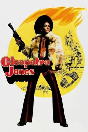 After federal agent Cleopatra Jones orders the burning of a Turkish poppy field, the notorious drug lord Mommy vows to destroy her.