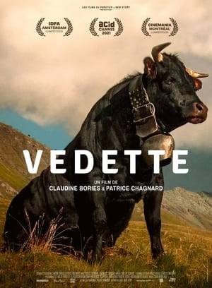 Vedette is a cow. Vedette is queen. She was even once queen of the queens of the Alps. But Vedette is getting older. In order to save her the humiliation of being dethroned by young rivals, our neighbors, Elise and Nicole let us look after her for an entire summer. This is where our vision changes : our vision of the cows, of our local neighbors, in short, our vision of the world.