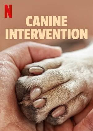 Canine Intervention follows renowned Oakland dog trainer, Jas Leverette, as he runs one of the top dog training facilities in California. Cali K9 works with all breeds and are confident in being able to correct any type of behavior issue.