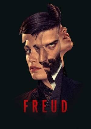 Eager to make his name in 19th-century Vienna, a hungry young Sigmund Freud joins a psychic and an inspector to solve a string of bloody mysteries.