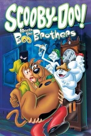 After the death of Shaggy's Uncle Beaureguard, he, Scooby and Scrappy arrive at the late uncle's Southern plantation to collect the inheritance. But as soon as they arrive, they find it is haunted by the ghost of a Confederate soldier. With this spook on their tails while they solve riddles in search of the inheritance, they seek help from the Boo Brothers, a trio of ghost-exterminators to help catch this nasty ghoul.