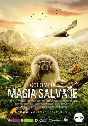 A wonderful country full of amazing creatures in America called Colombia, seen as never before, accompanied by incredible shots, make it a must-see place for adventurers and wildlife lovers this natural paradise.
