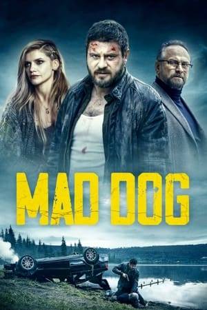 Two young people go missing after a rave party in the woods. Meda and Rio, a man defeated by life and an uncompromising captain, are the two cops leading the investigation. It’s an old nightmare coming back to haunt the people from the small village near the forest but, this time, the monster has chosen the wrong person.