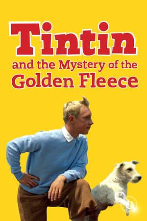 After the death of Captain Thémistocle Paparanic, Captain Haddock's old friend, he inherits a ship called the Golden Fleece. Once Tintin and the captain arrive in Istanbul, where the ship is anchored, they meet Mr. Karabine, a businessman who stubbornly insists on buying it even though it is in a dilapidated state.