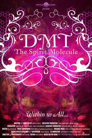 THE SPIRIT MOLECULE weaves an account of Dr. Rick Strassman's groundbreaking DMT research through a multifaceted approach to this intriguing hallucinogen found in the human brain and hundreds of plants, including the sacred Amazonian brew, ayahuasca. Utilizing interviews with a variety of experts to explain their thoughts and experiences with DMT, and ayahuasca, within their respective fields, and discussions with Strassman’s research volunteers, brings to life the awesome effects of this compound, and introduces us to far-reaching theories regarding its role in human consciousness.