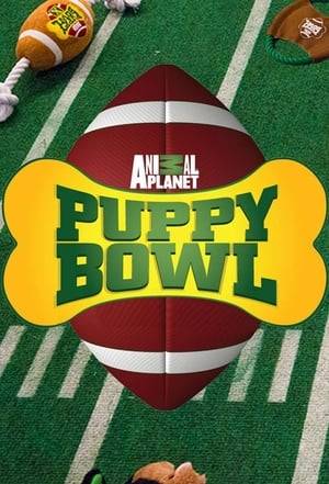 The Puppy Bowl is an annual television program on Animal Planet that mimics an American football bowl game similar to the Super Bowl, using puppies. Shown each year on Super Bowl Sunday, the show consists of footage of a batch of puppies at play inside a model stadium, with commentary on their actions. The first Puppy Bowl was shown on February 6, 2005. The puppies featured in the Puppy Bowl are from shelters, and the show contains information on how viewers can adopt rescued puppies and help their local shelter.