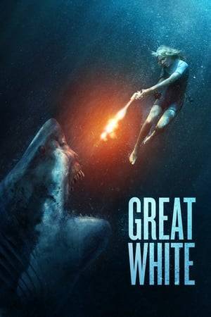 A sea plane is destroyed in a freak accident, five people find themselves drifting on a raft. At the mercy of the tide and with no hope of rescue, the helpless situation takes a horrifying turn when they are terrorized by a ravenous great white.