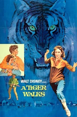 A tiger escapes from a circus truck as it passes by a small town, and hides itself in the surrounding woods. This throws the town into a panic and everyone wants the animal killed immediately, except for the daughter of the sheriff. She wants to capture the tiger and put it in a zoo, thereby saving the tiger's life. Her determination starts a nationwide campaign among children to raise the money to buy the tiger from the circus, but first, she, her father and an Indian tiger trainer must find the tiger before the National Guard do, who have orders to kill it on sight.