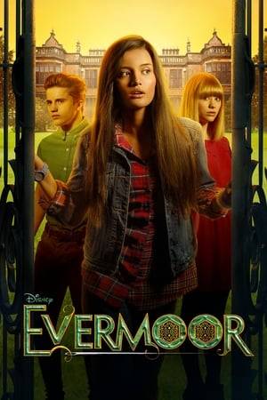 A young girl and her blended family move to the small cottage town of Evermoor. All is well until sinister things start to happen, magic tapestries, an enchanted typewriter. Only a few of the strange things found in the town of Evermoor.