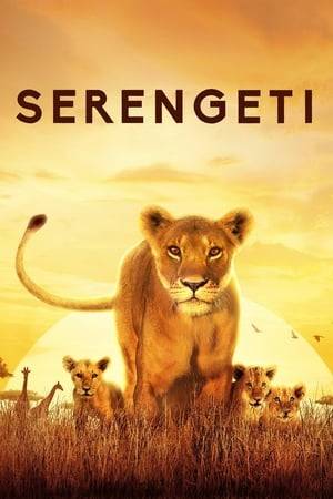 Capturing the high drama of the Serengeti’s distinctive wildlife up close.