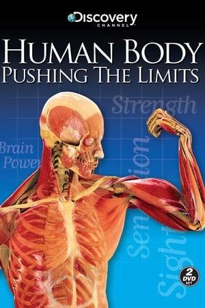 Human Body: Pushing the Limits, is a television program that premiered on the Discovery Channel on March 2, 2008 in North America. Titles in this series include "Strength", "Sight", "Brainpower", and "Sensation".

Millions watched the first 2 episodes of this 4 part series on March 2. Since then "The Discovery Store" has had many requests to buy the DVD set. These videos were released after the final 2 episodes on March 9 at 9:00 and 10:00pm eastern time.

This show covers topics on how the body reacts to moments of extreme stress like being stuck in a cave or running away from forest fires. It is made up of four episodes that all concentrate on a certain aspect of our body when we are "pushed to the limit".

⁕Strength - This episode covers how our muscles react when we are pushed to the limit. It covers stories of how people can suddenly lift masses 6 times his or her weight or run at speeds that even olympic runner can't match.

⁕Sight - This episode covers the aspect of how our eyes react in emergency situations. We can see much better and see details we normally can not see.

⁕Brainpower - This episode covers how our brain takes control of our body and can order our body to do things it usually could not or would not do. Examples include how our brain can order our body to eat the muscles of our body for energy or make us eat things we would usually find disgusting, and also covers dreaming.