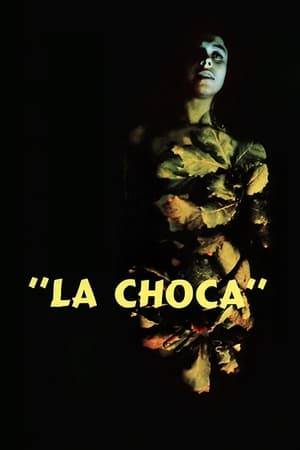 A smuggler lives far from civilization, in a hut in the jungle with his wife, La Choca, his son and his sister-in-law Flor. One day some men arrive, who accuse him of having betrayed them.