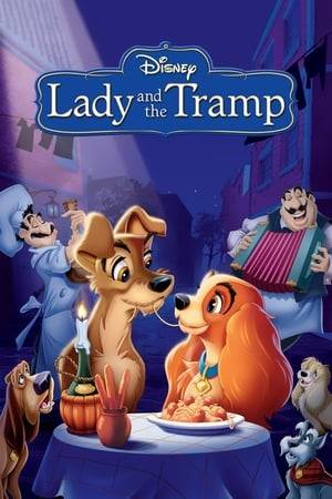 Lady, a golden cocker spaniel, meets up with a mongrel dog who calls himself the Tramp. He is obviously from the wrong side of town, but happenings at Lady's home make her decide to travel with him for a while.