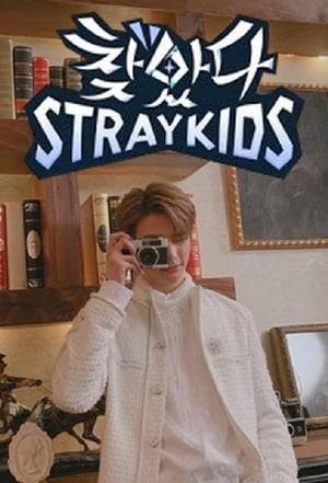 Stray Kids, who since their debut have dedicated their time to singing and practicing, are rookies in entertaiment shows! In their first reality show, they will train to become main stream entertainers thanks to amazing opportunities that will pay homage to popular entertainment shows!