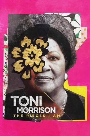 This artful and intimate meditation on the legendary storyteller examines her life, her works, and the powerful themes she has confronted throughout her literary career. Toni Morrison leads an assembly of her peers, critics, and colleagues on an exploration of race, history, the United States, and the human condition.