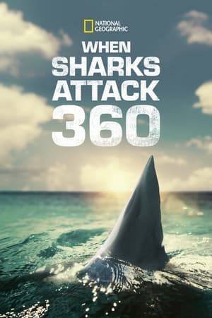 An international team of experts hunts for clues as they investigate why sharks bite humans. They unravel the surprising threads that link these incidents. As the evidence mounts, they analyze data in a cutting-edge VFX shark lab to understand in forensic detail why sharks attack.