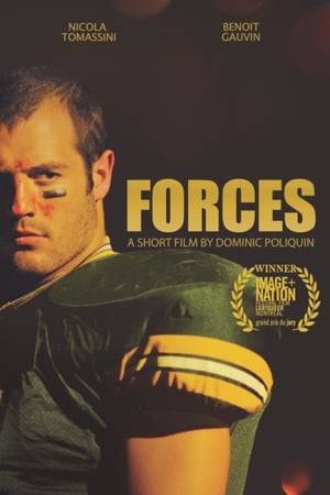 An intense bromance between a gay football player and a straight military guy.