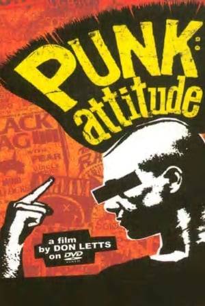 A documentary on the music, performers, attitude and distinctive look that made up punk rock.