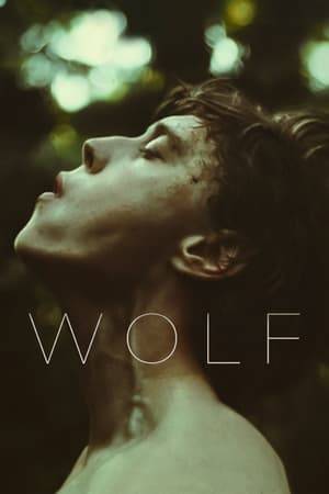 Jacob, a man who believes he is a wolf trapped in a human body, is sent to a clinic by his family where he is forced to undergo increasingly extreme forms of "curative" therapies at the hands of The Zookeeper. Jacob’s only solace is the enigmatic Wildcat, with whom he roams the hospital in the dead of night. The two form an improbable friendship that develops into infatuation.