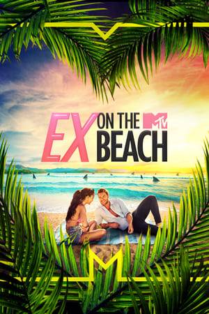 In this social experiment, smoking-hot celebrity singles think they're running away to paradise for a once-in-a-lifetime romantic vacation full of fun and sun. But just as the party is getting started, unwanted guests arrive to break up their good time.