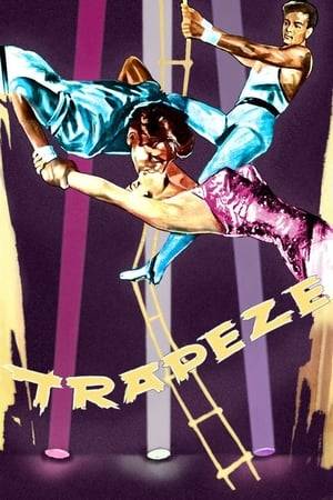 A pair of men try to perform the dangerous "triple" in their trapeze act. Problems arise when the duo is made into a trio following the addition of a sexy female performer.