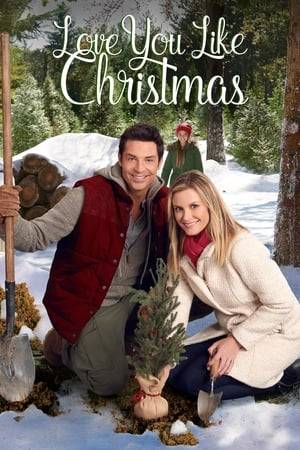 Maddie, a high-powered marketing executive, is on her way to a client’s wedding but her plans are derailed by car trouble. When a fork in the road leads her to Christmas Valley, a town in love with Christmas, an unexpected encounter and a group of strangers that start to feel like family will have her questioning what she’s really been missing in life.