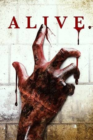 A severely injured man and woman awake in an abandoned sanitarium only to discover that a sadistic caretaker holds the keys to their freedom and the horrific answers as to their true identity.