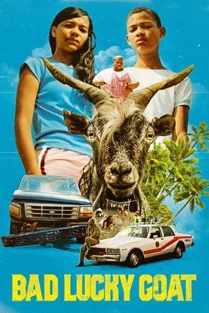 After accidentally killing a bearded goat with their father’s pick-up truck, two incompatible siblings in their teenage years, embark on a journey of reconciliation.