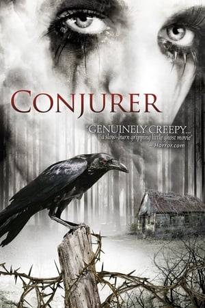After moving to the country to start life anew after their child's death, photographer Shawn Burnett and his wife, Helen, begin to suspect that a ramshackle cabin on their property is haunted by the malevolent spirit of a long-dead witch who once lived there.