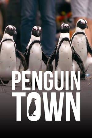 In a picturesque South African town, an eclectic group of endangered penguins flock together to find mates, raise families and mix with the locals.