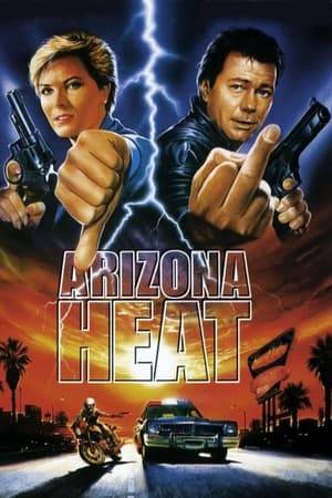 A tough old school Arizona cop is teamed with a lesbian partner to catch a serial killer who preys on police.