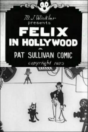 A starving actor, reduced to trying his luck in the movies, travels to Hollywood. His cat, Felix, poses as a travel bag and comes along.