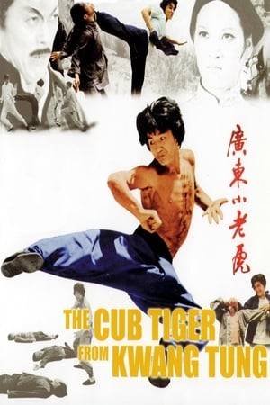 Hsiao Hu has been secretly training in martial arts, as his father (Tien Feng) has forbidden him. Later, some local store owners ask Ah to help protect them from a greedy Chinese extortion ring. Ah discovers that the crime lord behind the extortion had killed his father years before and is determined for revenge.