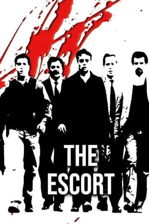 The film shows the difficulties of an honest, imperiled judge and his bodyguard of four men, trying to clean up a Sicilian town. Corrupt local politicians, working hand-in-hand with the Mafia, will stop at nothing to prevent exposure of their rackets.