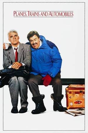 An irritable marketing executive, Neal Page, is heading home to Chicago for Thanksgiving when a number of delays force him to travel with a well meaning but overbearing shower curtain ring salesman, Del Griffith.