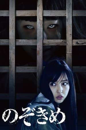 Ayano Mishima works as an AD at a TV broadcasting station. She covers the mysterious death case of a young man. Before he died, he said that somebody was watching him. Covering the case, Ayano Mishima realizes that the mysterious eye is also coming after her.