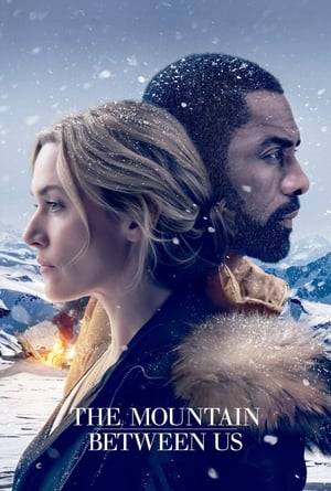 Stranded on a mountain after a tragic plane crash, two strangers must work together to endure the extreme elements of the remote, snow-covered terrain. When they realize help is not coming, they embark on a perilous journey across hundreds of miles of wilderness, pushing each other to survive and discovering their inner strength.