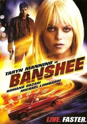 A kick-ass professional car thief, Sage, (Taryn Manning), steals a classic '66 Charger on a challenge. It turns out the car belongs to a serial killer (is there another kind?), who proceeds to slice and dice her friends because he wants his car back, and wants Sage dead. Sage also deals with treacherous fellow criminals, and a cop who wants her in jail, or wants to start a relationship (he hasn't decided yet).