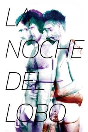 Ulises is thrown out into the streets of Buenos Aires by his boyfriend, Pablo, but not before taking money and a gun from him. When the theft is discovered, Pablo sets out to track down Ulises. As the hunt ensues, both men become more and more entangled in gay nightlife and their memories of one another.