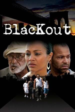 BLACKOUT takes you inside the personal journey of what went down and what it was really like in Brooklyn, NY on August 14. It examines the nature of man to take advantage of his own fellow man outside of normal conditions, in times of weakness and vulnerability