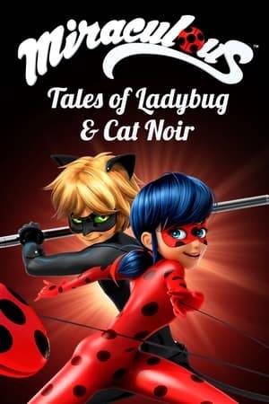 Normal high school kids by day, protectors of Paris by night! Miraculous follows the heroic adventures of Marinette and Adrien as they transform into Ladybug and Cat Noir and set out to capture akumas, creatures responsible for turning the people of Paris into villains. But neither hero knows the other’s true identity – or that they’re classmates!