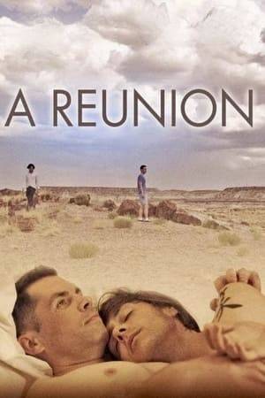 Two estranged friends travel across the country to attend their college reunion, and face their complicated past along the road.